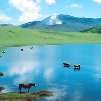 Kyushu: Aso Vocano, Grassland,Onsen and Aso shrine 1-Day Tour