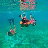 Fajardo, Puerto Rico: Morning Snorkeling Beach Tour