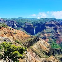 Kauai Island Private Guided Tour-Waimea Canyon from Poipu/Koloa