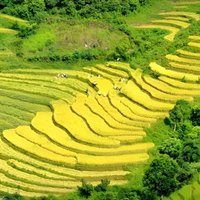 Viator 67% Rabatt auf Sapa Motorradtour O Quy Ho Pass Wasserfall Katzendorf