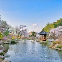 Trip to Nami Island with Petite France & Italian Village, Garden of Morning Calm