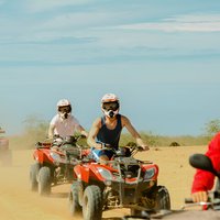 Quad Biking and Sandboarding on Sand Dunes Wild Beach