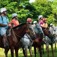 Horseback Riding and Waterfall in Jacó