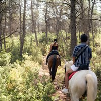 Horseback riding and wine tour (private tour)