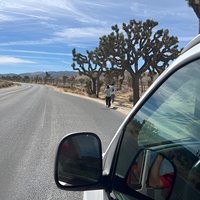 Private Sightseeing Adventure Tour of Joshua Tree National Park