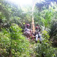 Aburi, Ghana Private Zipline and Adventure Experience