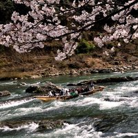 Kyoto Bus Tour: Sagano Railway & Hozugawa River Boat Ride