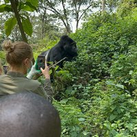 1 Day Gorilla Tracking Trip, Bwindi Impenetrable National Park
