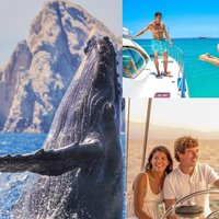 Whale Watching & Arch Catamaran Cruise in Cabo San Lucas