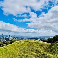 Full-Day Auckland Discovery