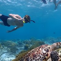 Private Snorkel Tour with Captain and Guide Bonaire Marine Park