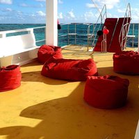 VIP Private Catamaran with Snorkeling