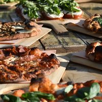 Lunch in the Vineyard: A Scenic Niagara Wine Tour Experience