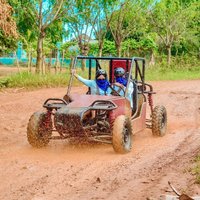 Punta Cana Jungle Buggy Tour: Macao Beach Visit and Cenote Swim
