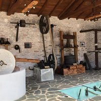 The Governor's Olive Mill Tour with Olive Oil Tasting