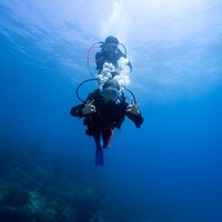 Try Scuba Diving at Cook Island – Guided Ocean Dive with Turtles