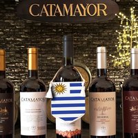 Tour with Premium Tasting