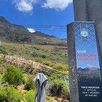 Cape Town Half-Day Table Mountain Cable Car Experience