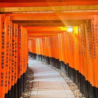 Kyoto Guided Walking Tour: Secret Zen Garden and Fushimi Inari