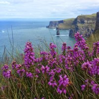 Private Day Tour Cliffs of Moher from Dublin