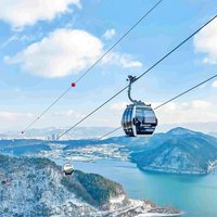 Nami Island, Cable Car, Garden of Morning Calm Panoramic Tour