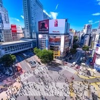 Best of Tokyo Private Tour English Driver &Customizable Itinerary