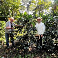 Coffee Farm Shared Tour from Salento