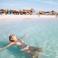 Aruba Private Tour with SeaFood/Caribbean Food Included