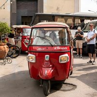 Sorrento Tour: Lemon Garden, Mozzarella show with Ape Ride