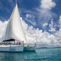 Sailing and Snorkeling to Norman Island and Caves