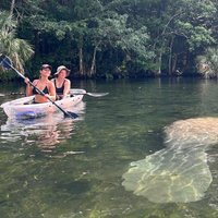 Chassahowitzka River Clear Kayak Springs & Manatee Tours