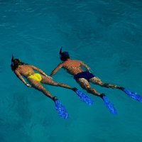 West Side Discovery Kayak & Snorkel Tour
