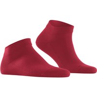 39.00 EUR