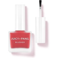 Stylevana Deal Enjoy 65% Off APIEU JuicyPang Water Blusher 9g RD01