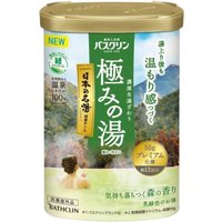 BATHCLIN - Kiwami No Yu Hot Spring Bath Salt - 600g - Forest