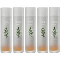 MISSHA Artemisia Calming Essence - 150ml (New Version of MISSHA - Time Revolution Artemisia Treatment Essence) (5ea) Set
