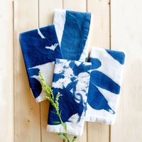 Cyanotype Art Digital Class