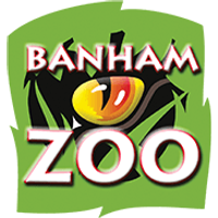 Banham Zoo - Child