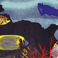 Paréo - Rascasse marine