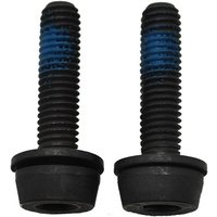 Tredz Limited Campagnolo Rear Mount Screws | Extra 7% off for BC Members, Price match & 365 Day returns