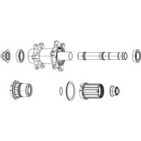 Zipp Spring And Pawl Set
