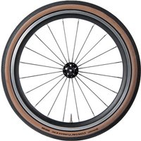 Tredz Limited Brompton Conti Contact Tyre Urban Brown Afm | Extra 7% off for BC Members, Price match & 365 Day returns