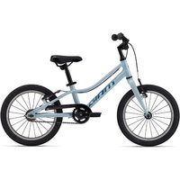 Tredz Limited GIANT Giant ARX 16 F/W | Extra 7% off for BC Members, Price match & 365 Day returns