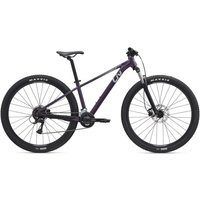Tredz Limited Liv Tempt 3 Mountain Bike 2025 - Hardtail MTB | Extra 7% off for BC Members, Price match & 365 Day returns