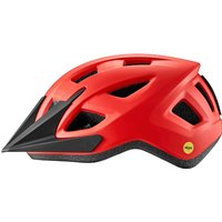 Tredz Limited GIANT Giant Path ARX Mips Youth Cycling Helmet | Extra 7% off for BC Members, Price match & 365 Day returns
