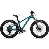Giant STP 20 FS - Nearly New – 20" Wheel