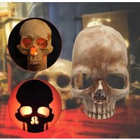 Gothic Skull LED Night Light | Premium Resin Halloween Decor