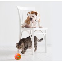 Smart Interactive Pet Ball Toy - USB Rechargeable Automatic Rotating Cat & Dog Play Ball