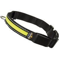 Ferplast Collar with Reflective & Light