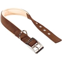 Ferplast Daytona Dog Collar - Brown